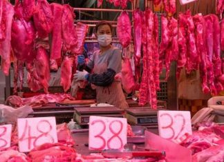 البروتين وسهولة فقدان الوزن البروتين وسهولة فقدان الوزن