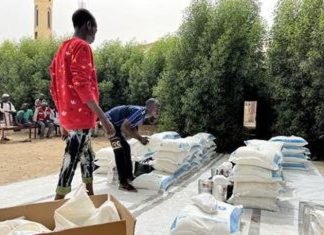 وصول 40 شاحنة مساعدات اممية الى ثلاث ولايات سودانية وصول 40 شاحنة مساعدات اممية الى ثلاث ولايات سودانية