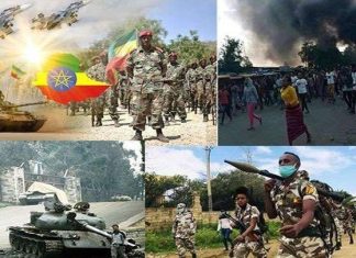 نشطاء السودان: نقترح نزع سلاح المدفعية والطيران الإثيوبي ونشر قوات شرق إفريقيا نشطاء السودان: نقترح نزع سلاح المدفعية والطيران الإثيوبي ونشر قوات شرق إفريقيا