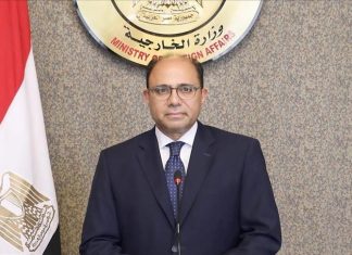 القاهرة: أول اجتماع وزاري لقمة دول جوار السودان الأحد في تشاد القاهرة: أول اجتماع وزاري لقمة دول جوار السودان الأحد في تشاد