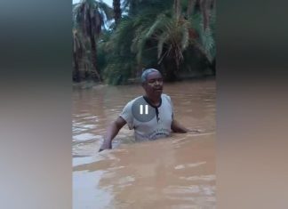 أضرار بالغةجراءالسيول والأمطاربمروي والسلطات المحليةتدعو للتدخل العاجل أضرار بالغةجراءالسيول والأمطاربمروي والسلطات المحليةتدعو للتدخل العاجل