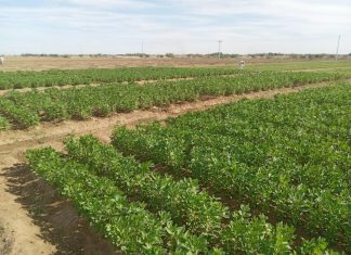 وزارة الاستثمار بالشمالية تبحث القضايا التي تهم المغتربين وزارة الاستثمار بالشمالية تبحث القضايا التي تهم المغتربين