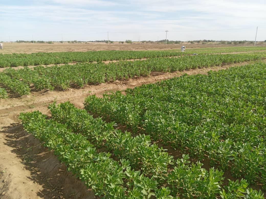 وزارة الاستثمار بالشمالية تبحث القضايا التي تهم المغتربين وزارة الاستثمار بالشمالية تبحث القضايا التي تهم المغتربين