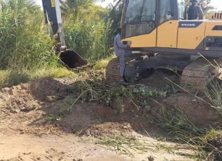 دال الزراعية تدشن تأهيل ابوعشرينات وبوابات مشروع كحيلة شرق دال الزراعية تدشن تأهيل ابوعشرينات وبوابات مشروع كحيلة شرق