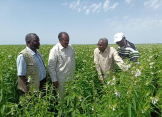 وزير الزراعة الإتحادي يطمئن على موقف الموسم الزراعي بولاية سنار وزير الزراعة الإتحادي يطمئن على موقف الموسم الزراعي بولاية سنار