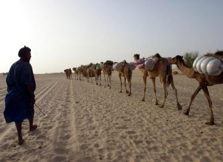 عرب الساحل الأفريقي.. حفدة الفاتحين وضحايا التمييز ووقود الإرهاب والتهريب عرب الساحل الأفريقي.. حفدة الفاتحين وضحايا التمييز ووقود الإرهاب والتهريب