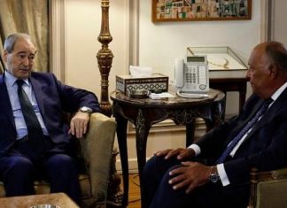 لقاءات وزارية منفصلة في القاهرة على هامش لجنة الاتصال الخاصة بسورية لقاءات وزارية منفصلة في القاهرة على هامش لجنة الاتصال الخاصة بسورية