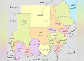 باحثة سياسية: حل الأزمة السودانية معقود على دور القوى المدنية باحثة سياسية: حل الأزمة السودانية معقود على دور القوى المدنية