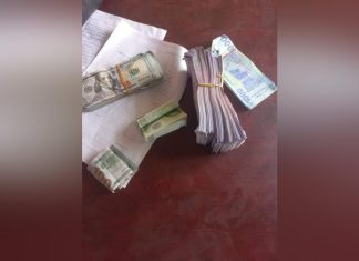 مباحث نهر النيل: تسترد مبالغ نقدية وتحبط تهريب 7كيلو ذهب مباحث نهر النيل: تسترد مبالغ نقدية وتحبط تهريب 7كيلو ذهب