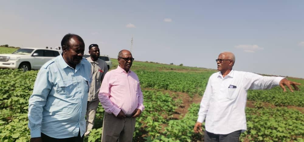 وزير الزراعة الإتحادي: نستهدف زراعه مليون فدانا بالقمح وزير الزراعة الإتحادي: نستهدف زراعه مليون فدانا بالقمح