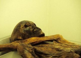 “رجل الثلج” أوتزي كان أصلع وذا بشرة داكنة ومن الأناضول "رجل الثلج" أوتزي كان أصلع وذا بشرة داكنة ومن الأناضول