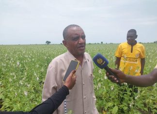 مدير عام وزارة الإنتاج بالقضارف يطمئن على الموسم الزراعى مدير عام وزارة الإنتاج بالقضارف يطمئن على الموسم الزراعى