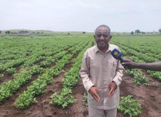 مدير عام وزارةالانتاج والموارد الاقتصادية بولاية القضارف يبشر بانتاجيه عاليه مدير عام وزارةالانتاج والموارد الاقتصادية بولاية القضارف يبشر بانتاجيه عاليه