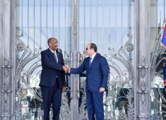 البرهان من العلمين: لا نية للجيش للسيطرة على السلطة في السودان البرهان من العلمين: لا نية للجيش للسيطرة على السلطة في السودان