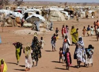 منظمات دولية تكشف تفاصيلا صادمة عن اللاجئين السودانيين: يأكلون الحشرات منظمات دولية تكشف تفاصيلا صادمة عن اللاجئين السودانيين: يأكلون الحشرات