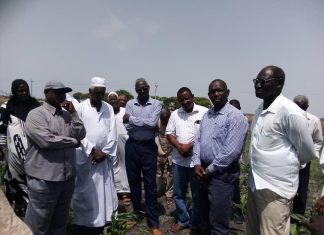 وكيل وزارة الزراعة يشيد بتأسيس محاصيل العروة الصيفيه بالنيل الأبيض وكيل وزارة الزراعة يشيد بتأسيس محاصيل العروة الصيفيه بالنيل الأبيض