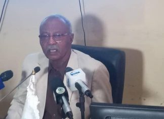 الشمالية والبنك الزراعي يستعدان لزراعة 502410 فدانا شنوبا الشمالية والبنك الزراعي يستعدان لزراعة 502410 فدانا شنوبا