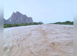 والي كسلا يتفقد قنوات الري بمشروع القاش والي كسلا يتفقد قنوات الري بمشروع القاش