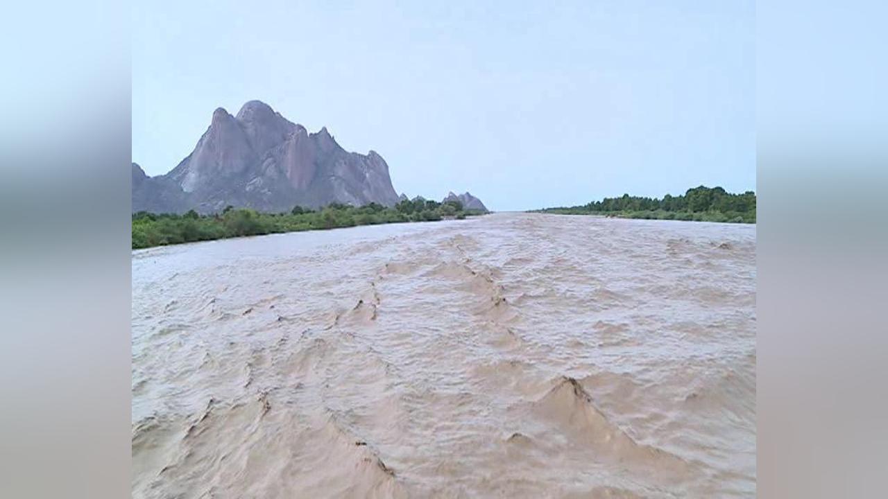 والي كسلا يتفقد قنوات الري بمشروع القاش والي كسلا يتفقد قنوات الري بمشروع القاش