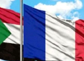 رؤية مشتركة لـ مصر وفرنسا لوقف إطلاق النار في السودان رؤية مشتركة لـ مصر وفرنسا لوقف إطلاق النار في السودان