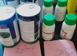 تقاوي خضر ومعينات إنتاج زراعي من (UNDP) للأسر المنتجة بالجزيرة تقاوي خضر ومعينات إنتاج زراعي من (UNDP) للأسر المنتجة بالجزيرة