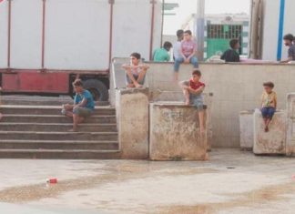 20 فيلماً قصيراً تتنافس في مهرجان الغردقة لسينما الشباب 20 فيلماً قصيراً تتنافس في مهرجان الغردقة لسينما الشباب