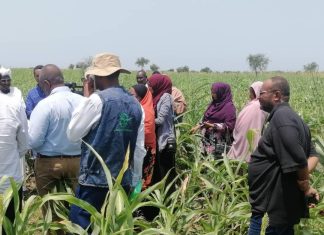 البعثة الاشرافية لمشروع تطوير الزراعه تقف علي مشروعات الدندر الزراعية البعثة الاشرافية لمشروع تطوير الزراعه تقف علي مشروعات الدندر الزراعية