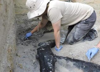 اكتشاف هيكل خشبي يعود إلى نصف مليون عام في أفريقيا اكتشاف هيكل خشبي يعود إلى نصف مليون عام في أفريقيا