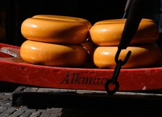 دراسة: تناول الجبن يقلل من مخاطر الإصابة بالخرف دراسة: تناول الجبن يقلل من مخاطر الإصابة بالخرف