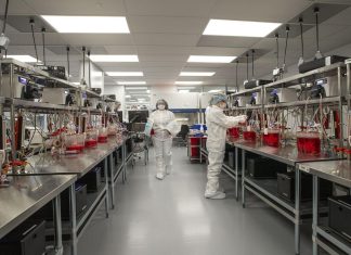 تطوير كلى صناعية يمكنها تغيير مستقبل مرضى الفشل الكلوي تطوير كلى صناعية يمكنها تغيير مستقبل مرضى الفشل الكلوي