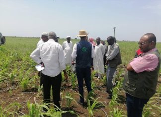 البعثة الإشرافية لمشروع تطوير الزراعة والتسويق تختيم جولتها بالدندر البعثة الإشرافية لمشروع تطوير الزراعة والتسويق تختيم جولتها بالدندر