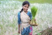 أزمة أرز عالمية تهدد الدول العربية أزمة أرز عالمية تهدد الدول العربية