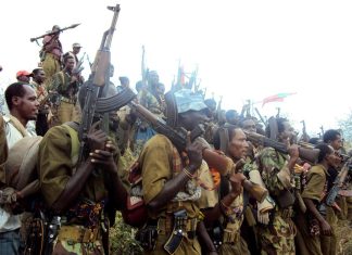 خبير أميركي: الصراعات في إثيوبيا والسودان تهدد بتصدع منطقة القرن الأفريقي خبير أميركي: الصراعات في إثيوبيا والسودان تهدد بتصدع منطقة القرن الأفريقي