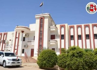 قرارين بإعفاء وتعيين مديريين تنفيذيين بشمال دارفور قرارين بإعفاء وتعيين مديريين تنفيذيين بشمال دارفور