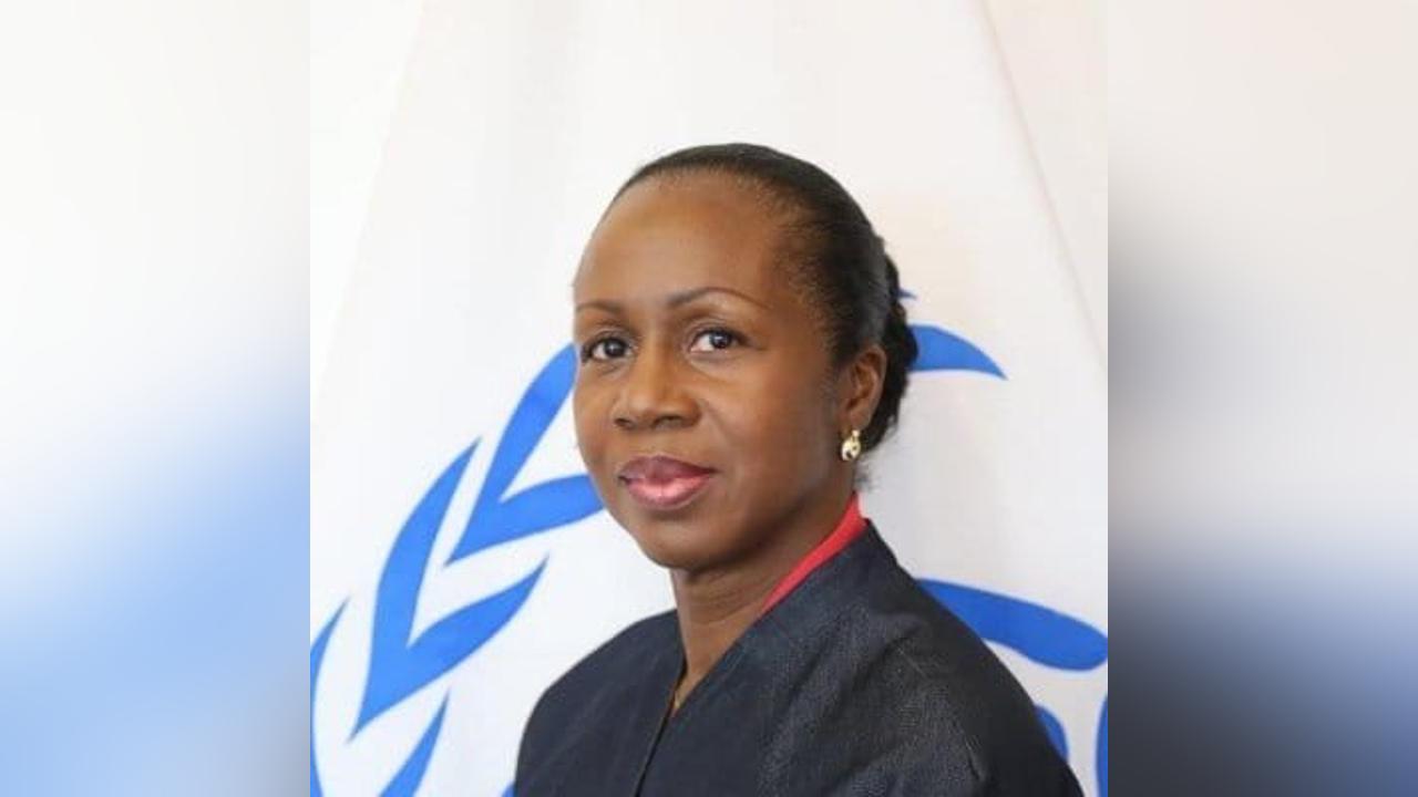 مسؤولة بالأمم المتحدة تطلق تحذيرات وتكشف احصائيات عن النازحين اللاجئين السودانيين مسؤولة بالأمم المتحدة تطلق تحذيرات وتكشف احصائيات عن النازحين اللاجئين السودانيين