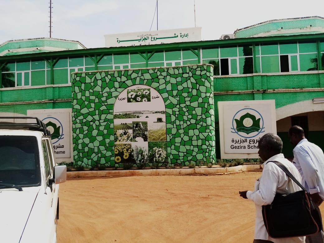 توجيه بمراجعة قرار تكوين مجلس إدارة مشروع الجزيرة