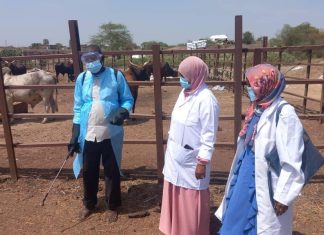 ادارة الثروة الحيوانية بمحلية سنجة تنفذ حملة مكافحة أمراض الحيوانات ادارة الثروة الحيوانية بمحلية سنجة تنفذ حملة مكافحة أمراض الحيوانات