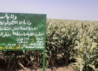 إدارة الإرشاد بسنار تحتفل باليوم العالمي للغذاء في الحقول الايضاحية إدارة الإرشاد بسنار تحتفل باليوم العالمي للغذاء في الحقول الايضاحية