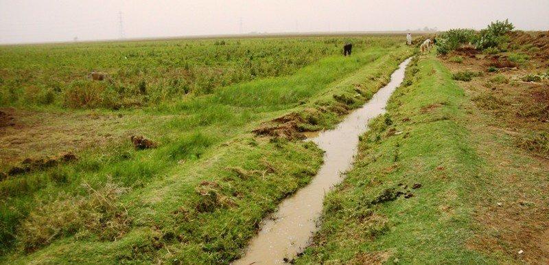 مدير مشروع الجزيرة يتخذ قرارا فوريًا ردا على مذكرة مطلبية من المزارعين مدير مشروع الجزيرة يتخذ قرارا فوريًا ردا على مذكرة مطلبية من المزارعين