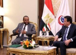 وزير الصحة الاتحادي يلتقي وزير الصحة والاسكان المصري وزير الصحة الاتحادي يلتقي وزير الصحة والاسكان المصري