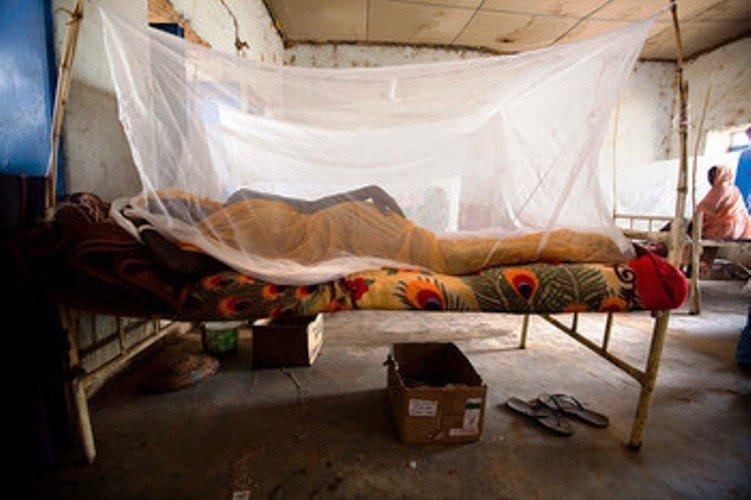 السودان.. كشف إحصائيات عن الإصابات والوفيات جراء ثلاثة أمراض خطيرة