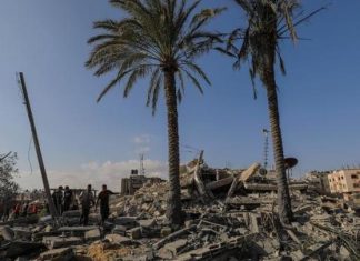 ملف: الثقافة العربية واختبار فلسطين… ما العمل؟ (1) ملف: الثقافة العربية واختبار فلسطين... ما العمل؟ (1)