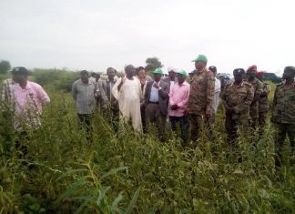 الشركة العربية السودانية لإنتاج البذور تنظم يوم الحقل السنوي الشركة العربية السودانية لإنتاج البذور تنظم يوم الحقل السنوي