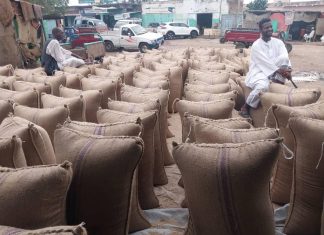 إنخفاض فى أسعار السمسم بالقضارف لعدم توفر السيولة إنخفاض فى أسعار السمسم بالقضارف لعدم توفر السيولة