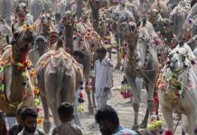 ارتفاع حرارة الكوكب… وباء آخر تنتظره البشرية ارتفاع حرارة الكوكب... وباء آخر تنتظره البشرية