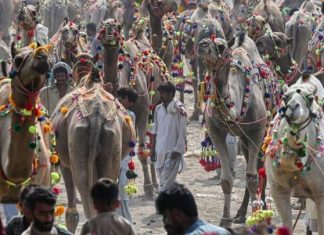 ارتفاع حرارة الكوكب… وباء آخر تنتظره البشرية ارتفاع حرارة الكوكب... وباء آخر تنتظره البشرية