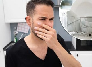 الذكاء الاصطناعي يساعد على إطالة عمر المنتجات الغذائية الذكاء الاصطناعي يساعد على إطالة عمر المنتجات الغذائية