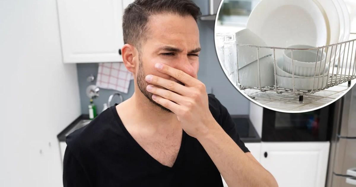 الذكاء الاصطناعي يساعد على إطالة عمر المنتجات الغذائية الذكاء الاصطناعي يساعد على إطالة عمر المنتجات الغذائية