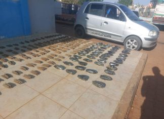 شرطة محلية كرري تضبط شقيقين يتاجران بالحشيش شرطة محلية كرري تضبط شقيقين يتاجران بالحشيش