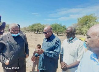 ترتيبات لاعادة تأهيل غابة ام بارونا بمدني كمورد سياحي ترتيبات لاعادة تأهيل غابة ام بارونا بمدني كمورد سياحي